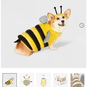 Dog bumble bee costume
